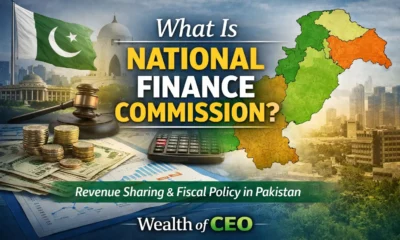 What Is National Finance Commission