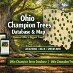 Ohio Champion Trees Database Ohio Champion Trees Map