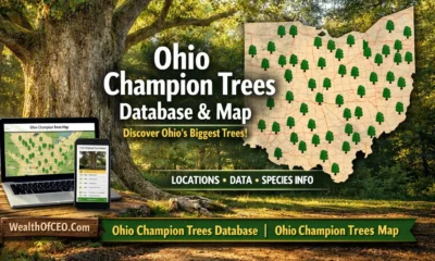Ohio Champion Trees Database Ohio Champion Trees Map