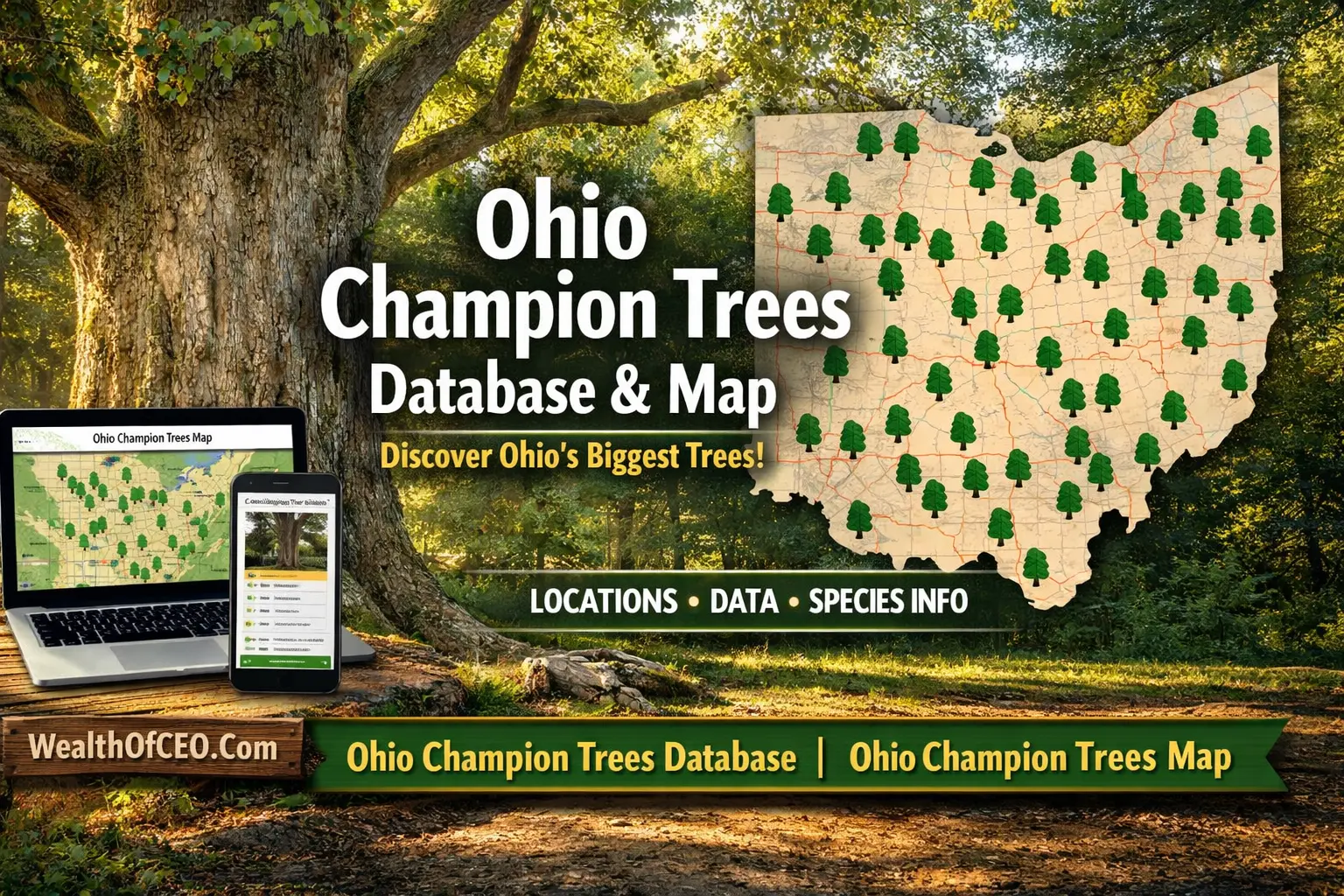 Ohio Champion Trees Database Ohio Champion Trees Map