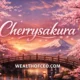 cherrysakura