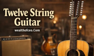 Twelve String Guitar