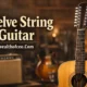 Twelve String Guitar